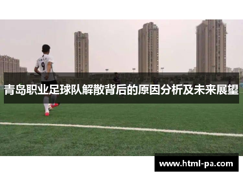 青岛职业足球队解散背后的原因分析及未来展望
