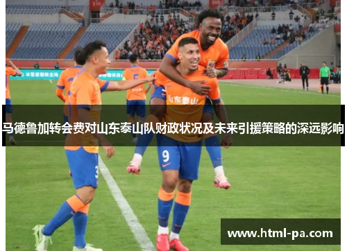 马德鲁加转会费对山东泰山队财政状况及未来引援策略的深远影响 马德鲁加转会费对山东泰山队财政状况及未来引援策略的深远影响
