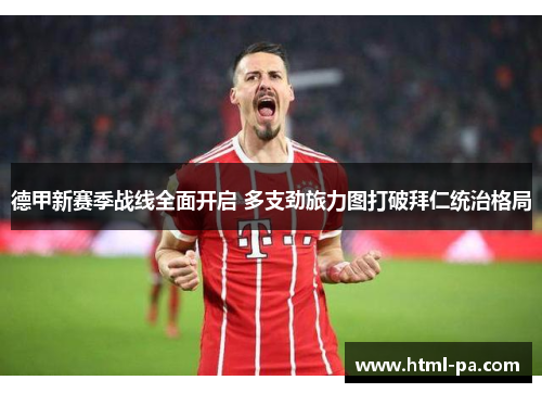 德甲新赛季战线全面开启 多支劲旅力图打破拜仁统治格局