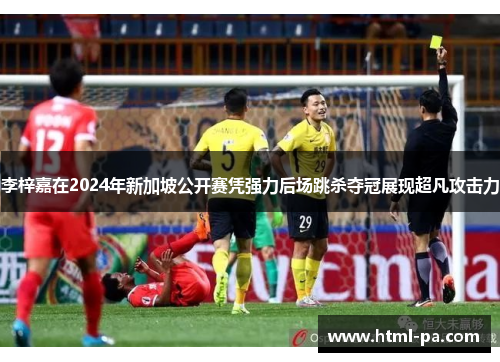 李梓嘉在2024年新加坡公开赛凭强力后场跳杀夺冠展现超凡攻击力