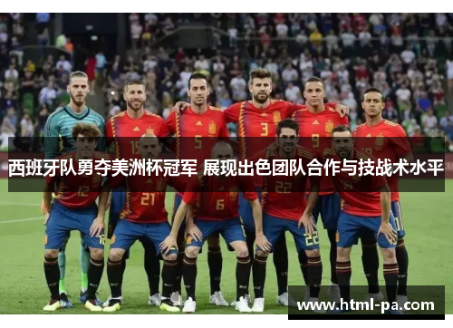 西班牙队勇夺美洲杯冠军 展现出色团队合作与技战术水平