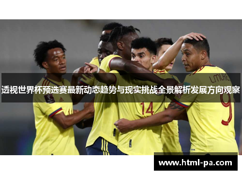 透视世界杯预选赛最新动态趋势与现实挑战全景解析发展方向观察