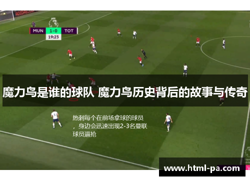 魔力鸟是谁的球队 魔力鸟历史背后的故事与传奇