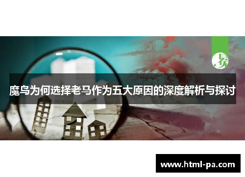 魔鸟为何选择老马作为五大原因的深度解析与探讨