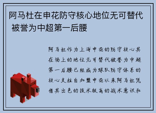 阿马杜在申花防守核心地位无可替代 被誉为中超第一后腰