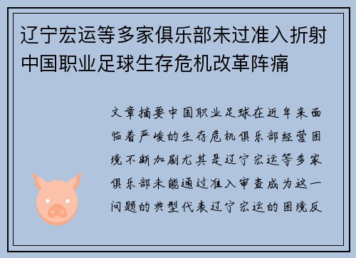 辽宁宏运等多家俱乐部未过准入折射中国职业足球生存危机改革阵痛