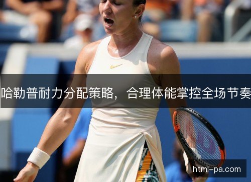 哈勒普耐力分配策略，合理体能掌控全场节奏